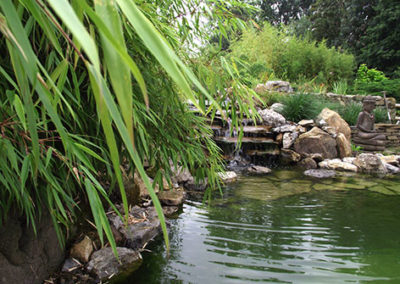 Lil'o bambous - ambiance du jardin - Bambous et cascade de l'étang