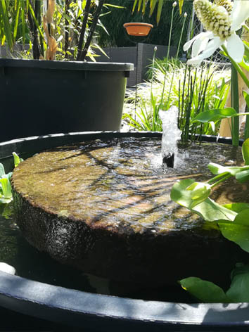 Lil'o bambous - Fontaine avec acienne meule indienne avec plantes