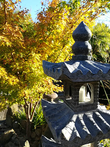 Lil'o bambous - Pagodes chinoises en pierre avec érable japonais