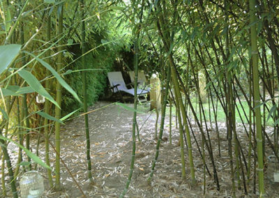 Lil'o bambous - ambiance du jardin - Petit coin perdu dans les bambous
