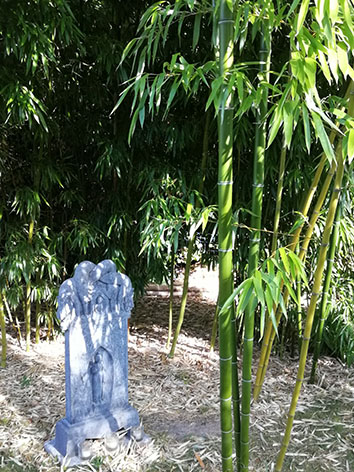 Lil'o bambous - ambiance du jardin - Stèle en pierre entourée par Phyllostachys prominens